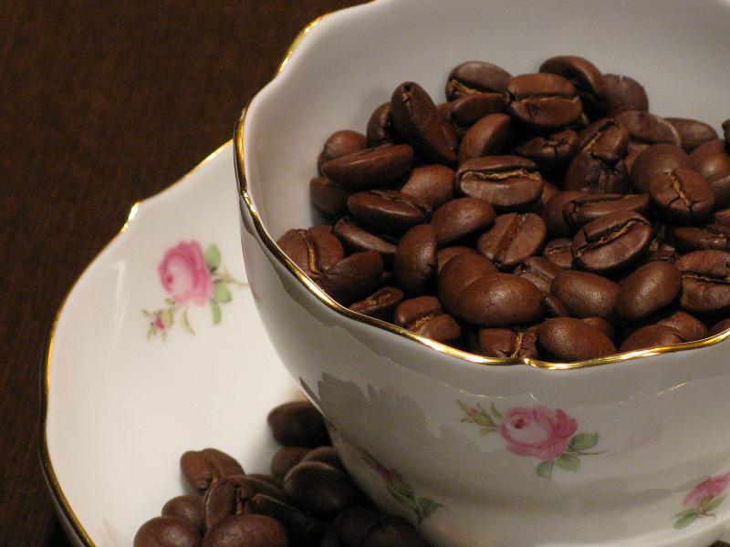 エクアドル アンデスマウンテン